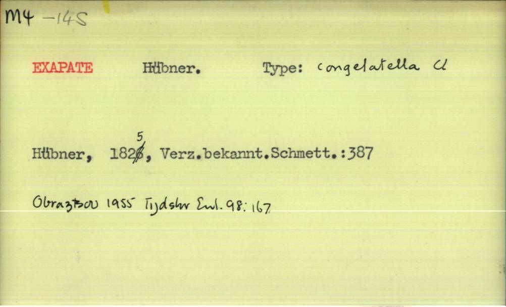 front of card
